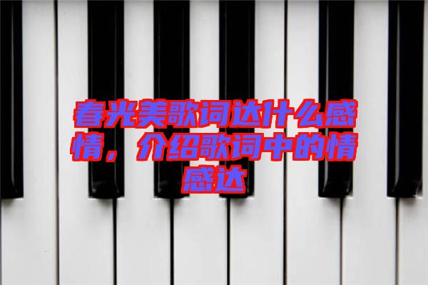 春光美歌詞達什么感情，介紹歌詞中的情感達