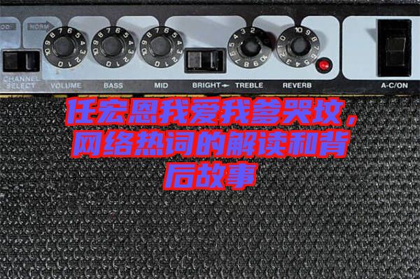 任宏恩我愛我爹哭墳，網絡熱詞的解讀和背后故事