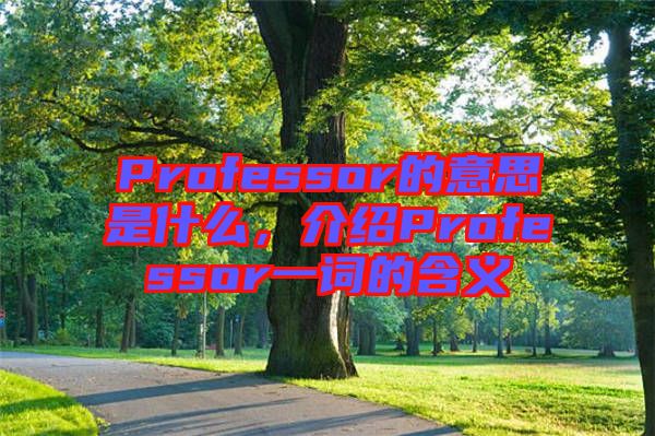 Professor的意思是什么，介紹Professor一詞的含義