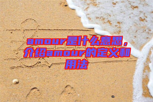 amour是什么意思，介紹amour的定義和用法