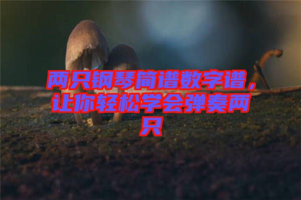 兩只鋼琴簡譜數字譜，讓你輕松學會彈奏兩只