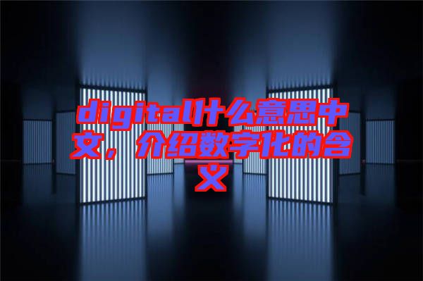 digital什么意思中文，介紹數(shù)字化的含義