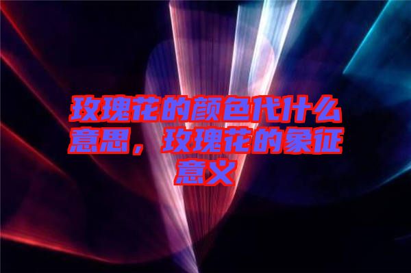 玫瑰花的顏色代什么意思，玫瑰花的象征意義