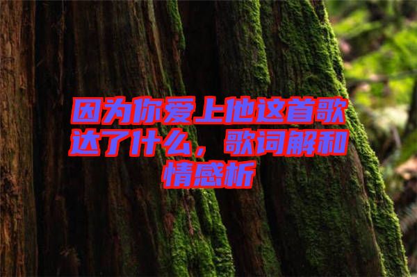 因?yàn)槟銗凵纤@首歌達(dá)了什么，歌詞解和情感析