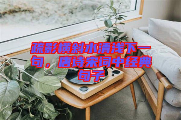 疏影橫斜水清淺下一句，唐詩宋詞中經典句子