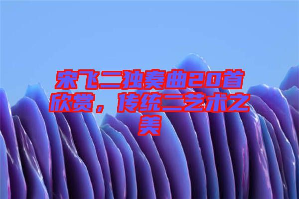 宋飛二獨奏曲20首欣賞，傳統二藝術之美