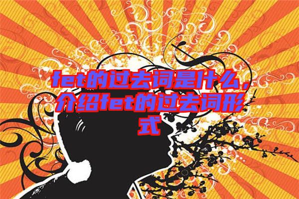 fet的過去詞是什么，介紹fet的過去詞形式