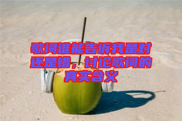 歌詞誰能告訴我是對還是錯，討論歌詞的真實含義