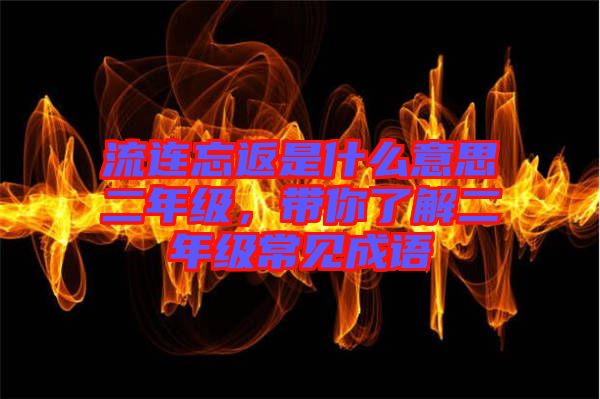 流連忘返是什么意思二年級，帶你了解二年級常見成語