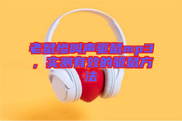 老鼠慘叫聲驅鼠mp3，實測有效的驅鼠方法