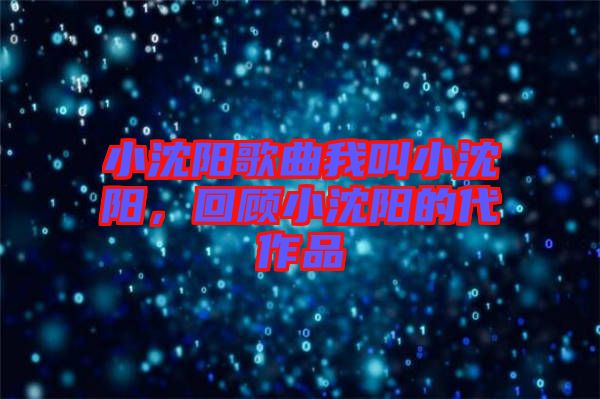 小沈陽歌曲我叫小沈陽，回顧小沈陽的代作品