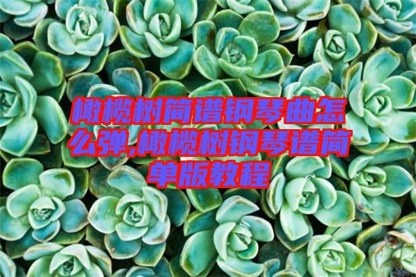 橄欖樹簡譜鋼琴曲怎么彈,橄欖樹鋼琴譜簡單版教程