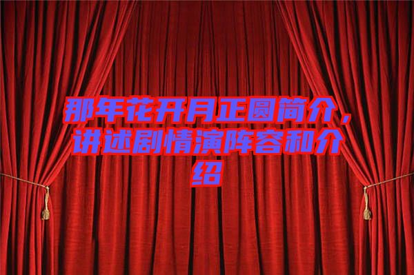 那年花開月正圓簡介，講述劇情演陣容和介紹