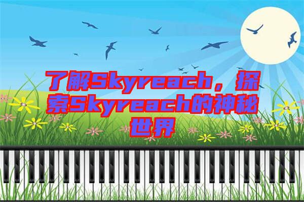 了解Skyreach，探索Skyreach的神秘世界