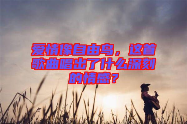 愛情像自由鳥，這首歌曲唱出了什么深刻的情感？