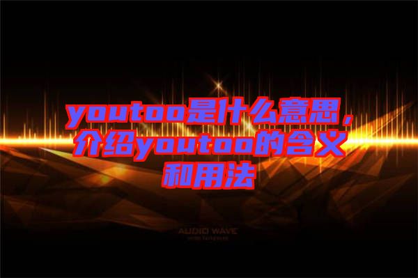 youtoo是什么意思，介紹youtoo的含義和用法