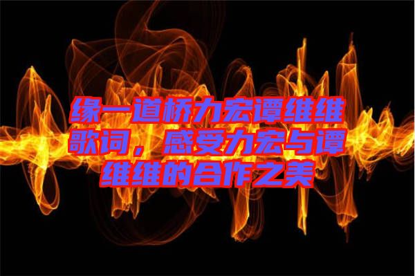 緣一道橋力宏譚維維歌詞，感受力宏與譚維維的合作之美