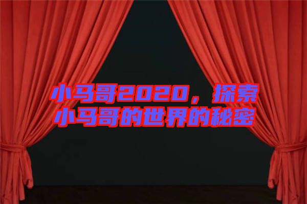 小馬哥2020，探索小馬哥的世界的秘密