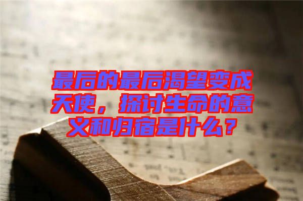 最后的最后渴望變成天使，探討生命的意義和歸宿是什么？