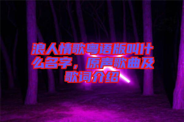 浪人情歌粵語版叫什么名字，原聲歌曲及歌詞介紹