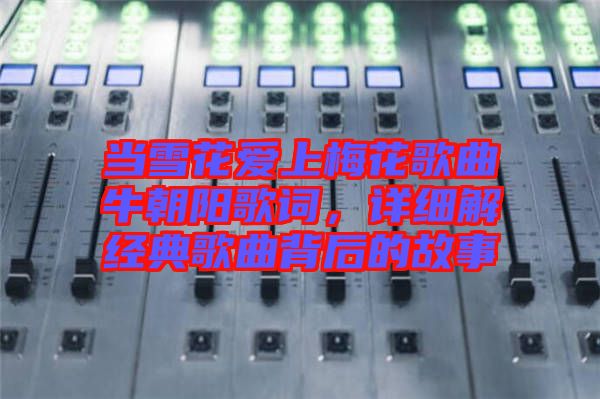 當(dāng)雪花愛上梅花歌曲牛朝陽歌詞，詳細(xì)解經(jīng)典歌曲背后的故事