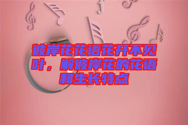 彼岸花花語花開不見葉，解彼岸花的花語和生長(zhǎng)特點(diǎn)