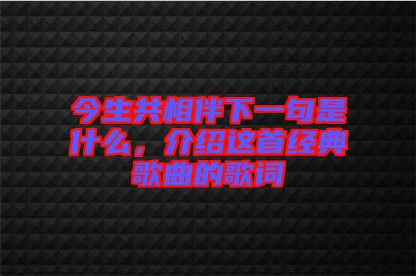 今生共相伴下一句是什么，介紹這首經典歌曲的歌詞