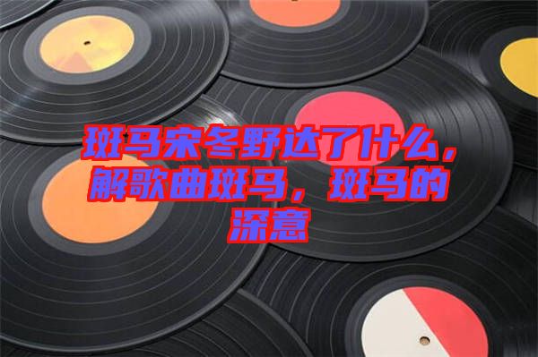 斑馬宋冬野達(dá)了什么，解歌曲斑馬，斑馬的深意