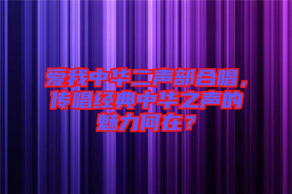 愛我中華二聲部合唱，傳唱經典中華之聲的魅力何在？