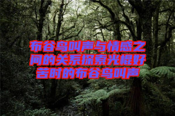 布谷鳥叫聲與情感之間的關(guān)系探索光棍好苦時的布谷鳥叫聲