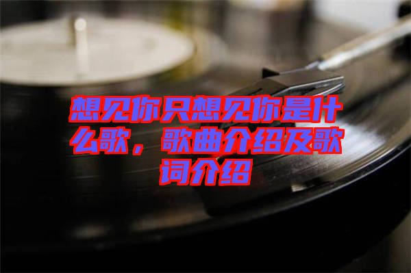 想見你只想見你是什么歌，歌曲介紹及歌詞介紹