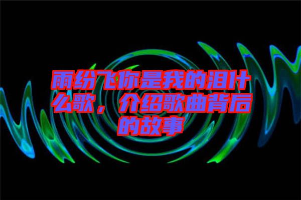 雨紛飛你是我的淚什么歌，介紹歌曲背后的故事