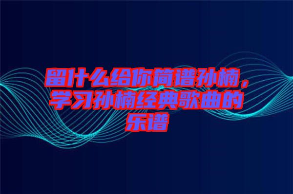 留什么給你簡譜孫楠，學習孫楠經(jīng)典歌曲的樂譜