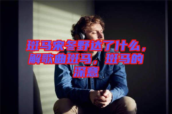 斑馬宋冬野達了什么，解歌曲斑馬，斑馬的深意