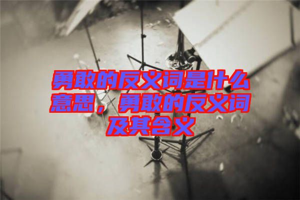 勇敢的反義詞是什么意思，勇敢的反義詞及其含義