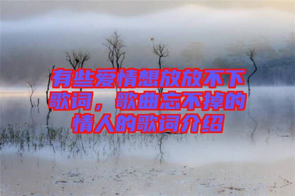 有些愛(ài)情想放放不下歌詞，歌曲忘不掉的情人的歌詞介紹