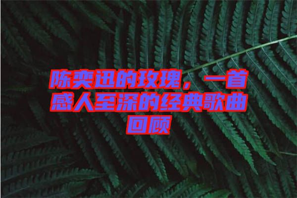 陳奕迅的玫瑰，一首感人至深的經(jīng)典歌曲回顧