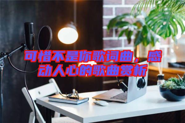 可惜不是你歌詞曲，感動人心的歌曲賞析