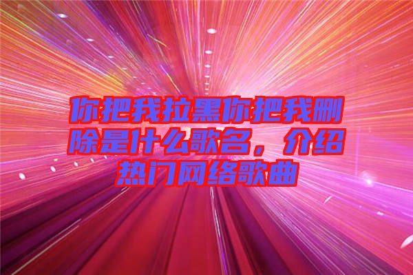 你把我拉黑你把我刪除是什么歌名，介紹熱門網絡歌曲