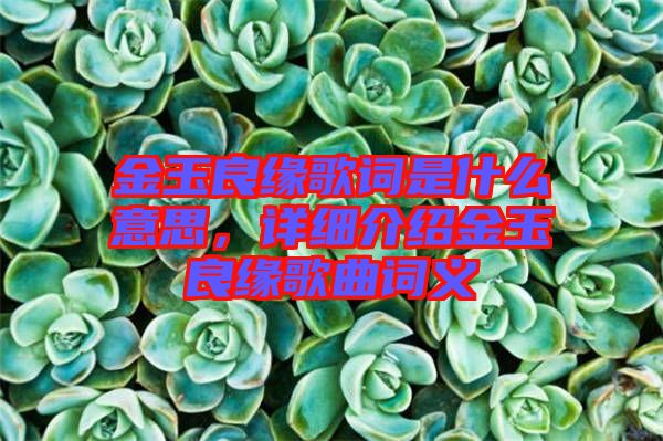 金玉良緣歌詞是什么意思，詳細介紹金玉良緣歌曲詞義