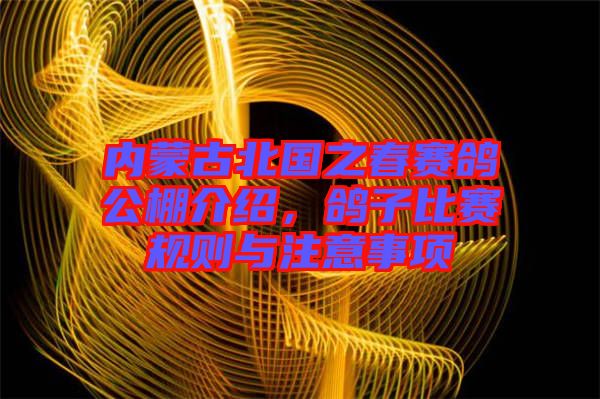 內蒙古北國之春賽鴿公棚介紹，鴿子比賽規則與注意事項