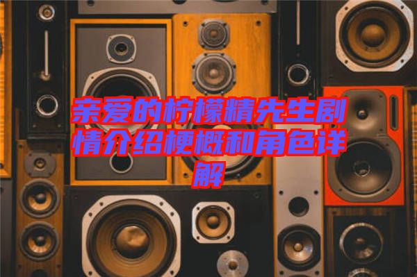 親愛(ài)的檸檬精先生劇情介紹梗概和角色詳解