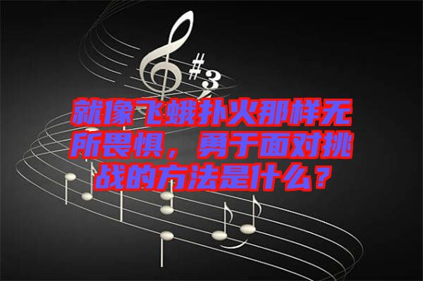 就像飛蛾撲火那樣無所畏懼，勇于面對挑戰的方法是什么？