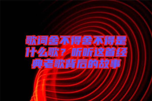 歌詞舍不得舍不得是什么歌？聽聽這首經典老歌背后的故事