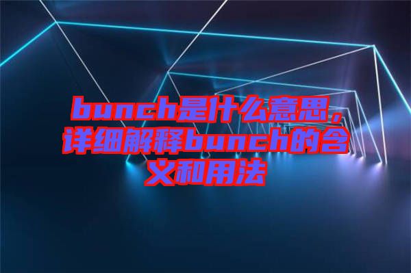 bunch是什么意思，詳細(xì)解釋bunch的含義和用法