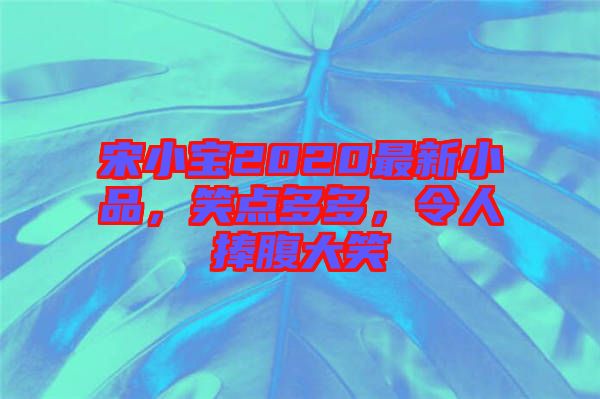 宋小寶2020最新小品，笑點多多，令人捧腹大笑