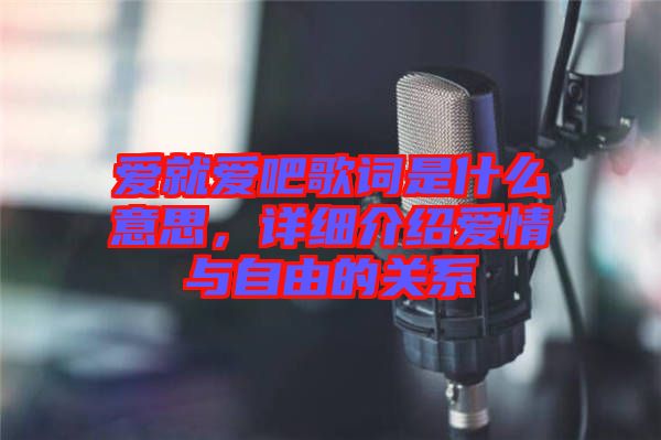 愛就愛吧歌詞是什么意思，詳細介紹愛情與自由的關(guān)系