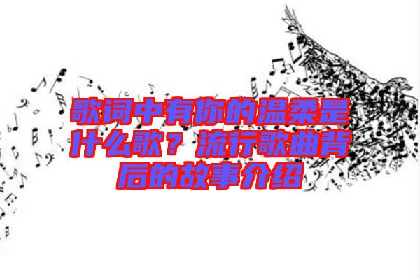 歌詞中有你的溫柔是什么歌？流行歌曲背后的故事介紹