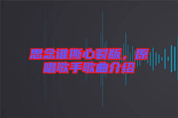 思念誰撕心裂版，原唱歌手歌曲介紹