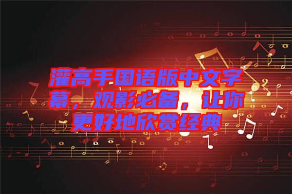 灌高手國語版中文字幕，觀影必備，讓你更好地欣賞經典